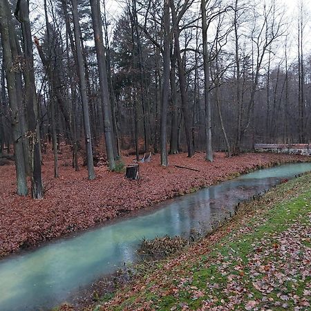 Gaestehaus Vergissmeinnicht Guteborn Eksteriør billede